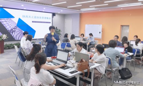 查稅寶新聞 稅務(wù)籌劃一期課程 如何進行有效的個稅籌劃