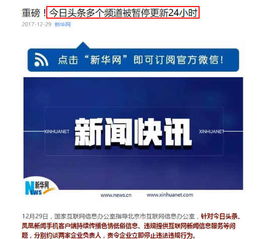 監(jiān)管重拳與品牌價值觀 從今日頭條處罰看投資者的深刻啟示
